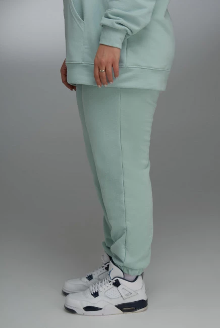 Джоггеры regular fit с бархатистой поверхностью